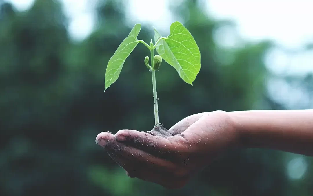 De OR heeft wél adviesrecht bij doorstart na faillissement