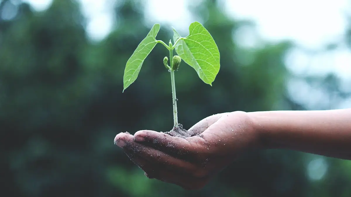 De OR heeft wél adviesrecht bij doorstart na faillissement - doorstart na faillissement